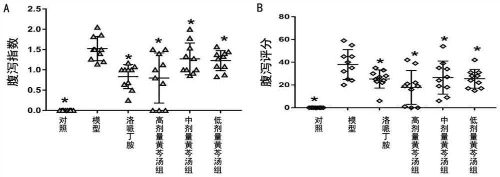 Application of scutellaria baicalensis decoction in preparation of medicine for treating diarrhea and improving intestinal function