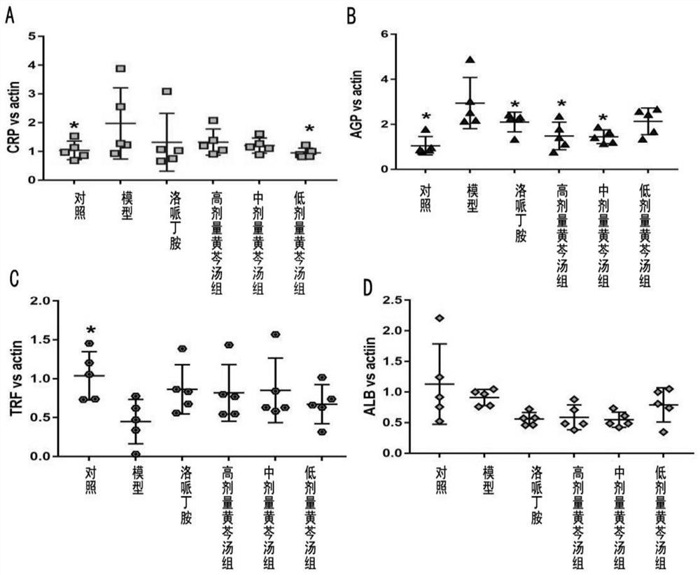 Application of scutellaria baicalensis decoction in preparation of medicine for treating diarrhea and improving intestinal function