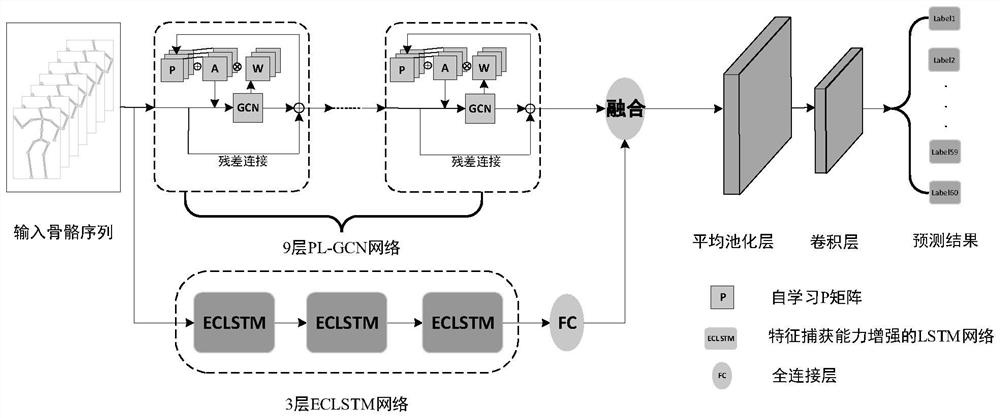 Bone action recognition method based on learnable PL-GCN and ECLSTM