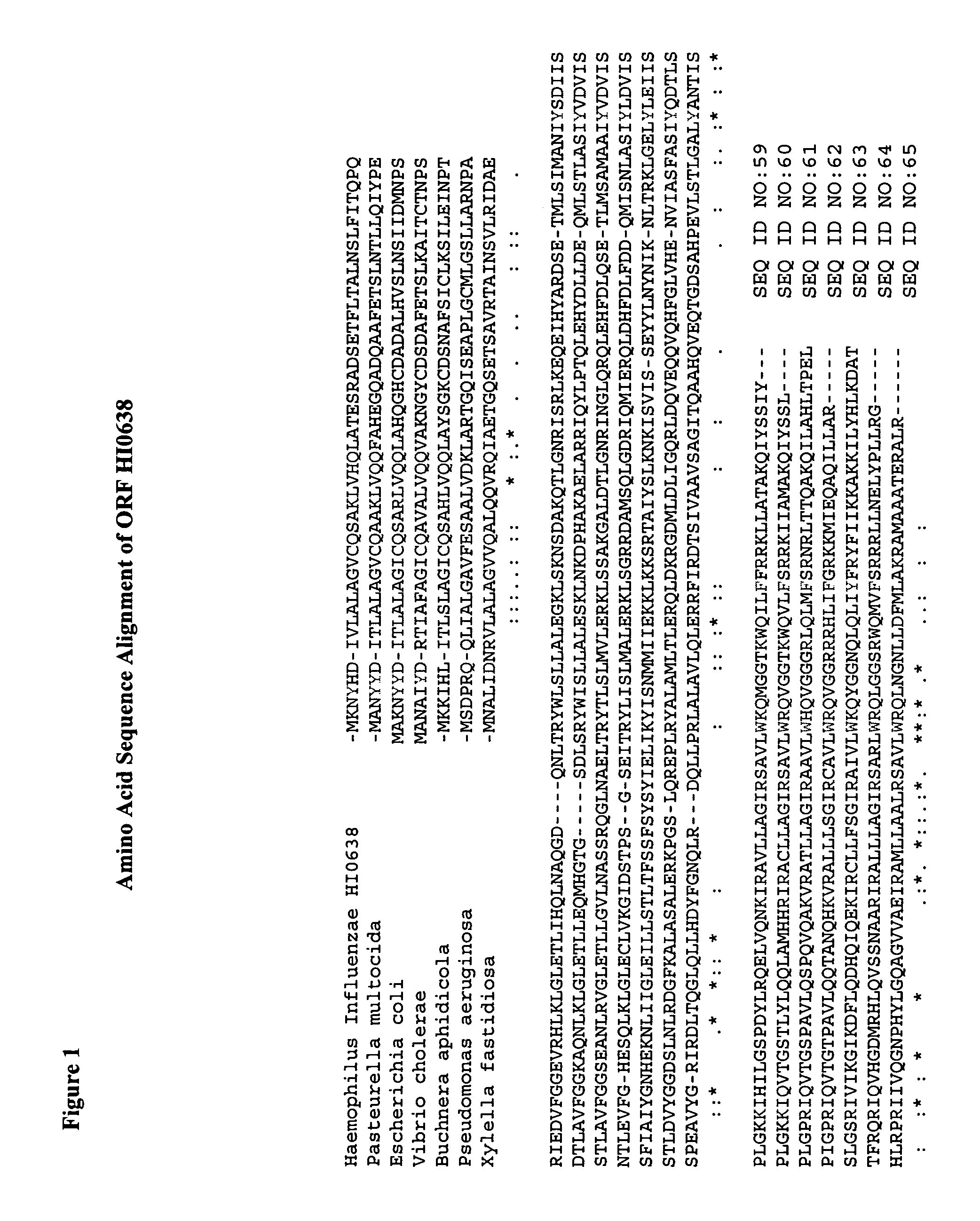 Amino acid sequences capable of facilitating penetration across a biological barrier
