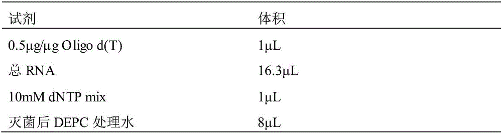 Method for heterologous expression and purification of trichoderma harzianum acidic protease P6281