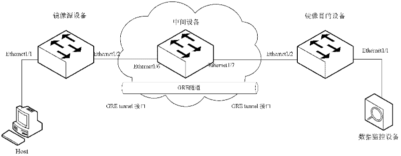 Remote port mirroring realization system and method
