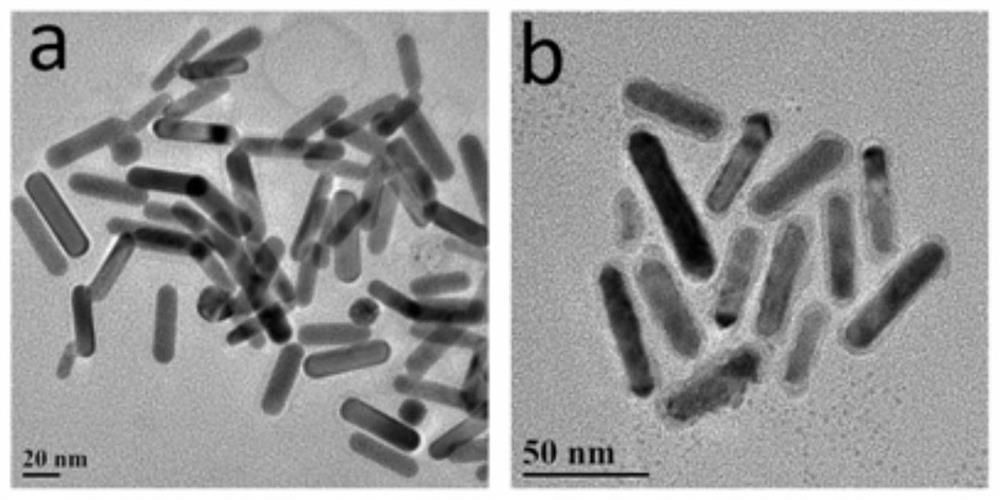 A kind of preparation method and application of three molybdenum tetrasulfide coated gold nanorods