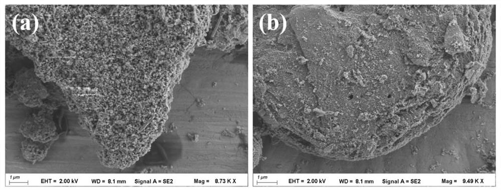 Synthesis method and application of MXene efficient catalyst containing pyridine structure