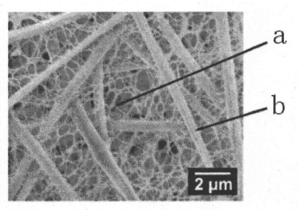 Bacterial cellulose nanofiber composite membrane for efficient protein adsorption and separation and preparation method of composite membrane