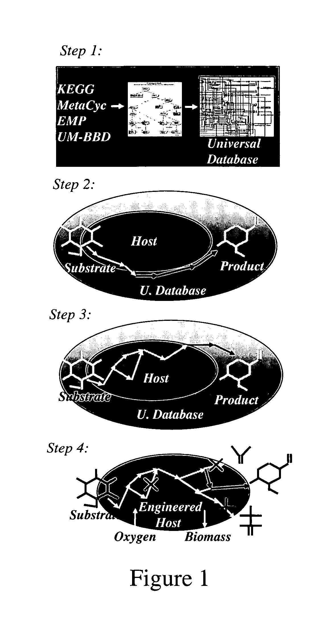 Method for redesign of microbial production systems
