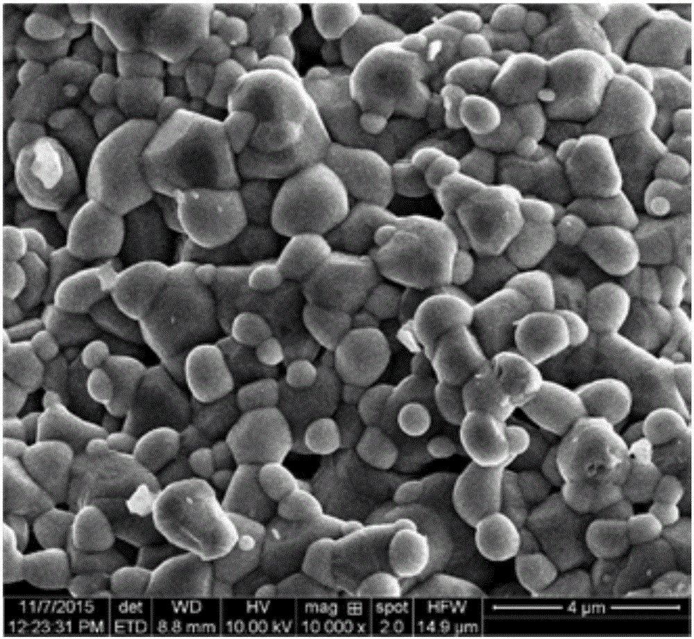 Novel positive electrode material of lithium ion battery and preparation method of positive electrode material