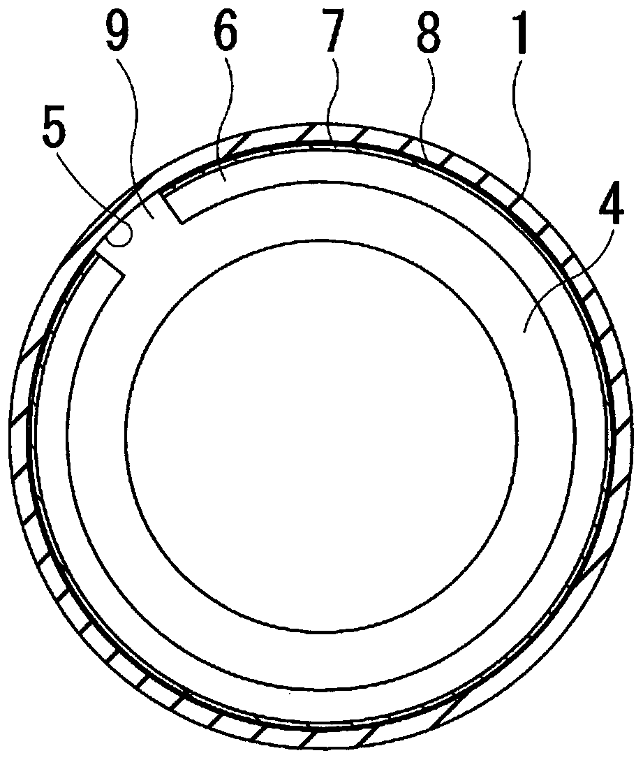 Pneumatic tire and method for producing same