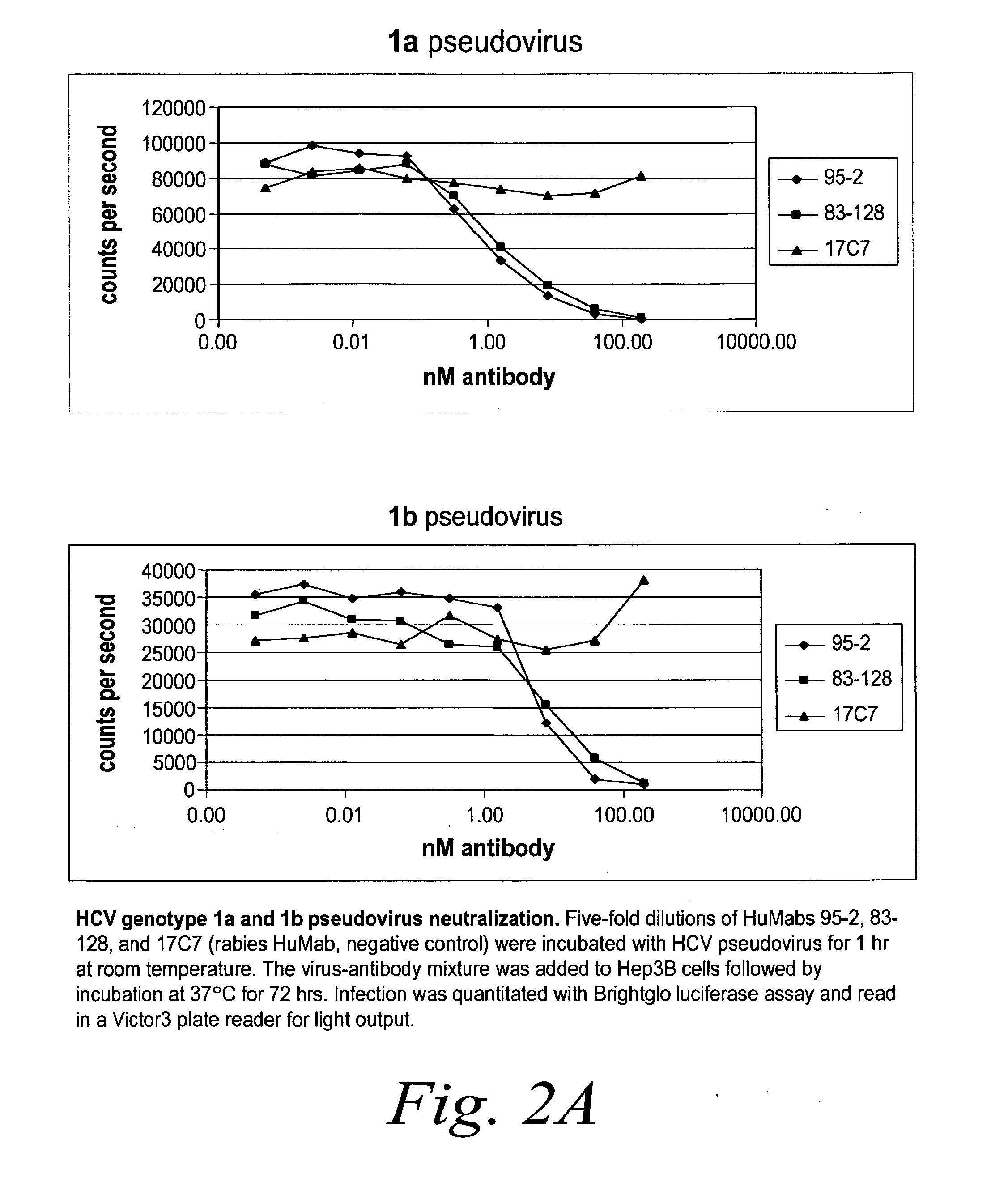 Human antibodies against hepatitis c virus (HCV) and uses thereof