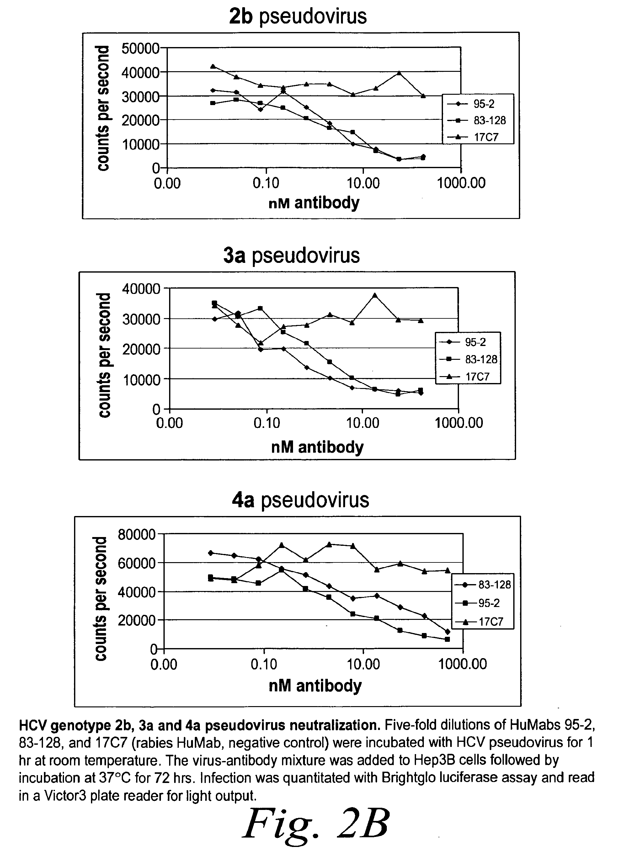 Human antibodies against hepatitis c virus (HCV) and uses thereof