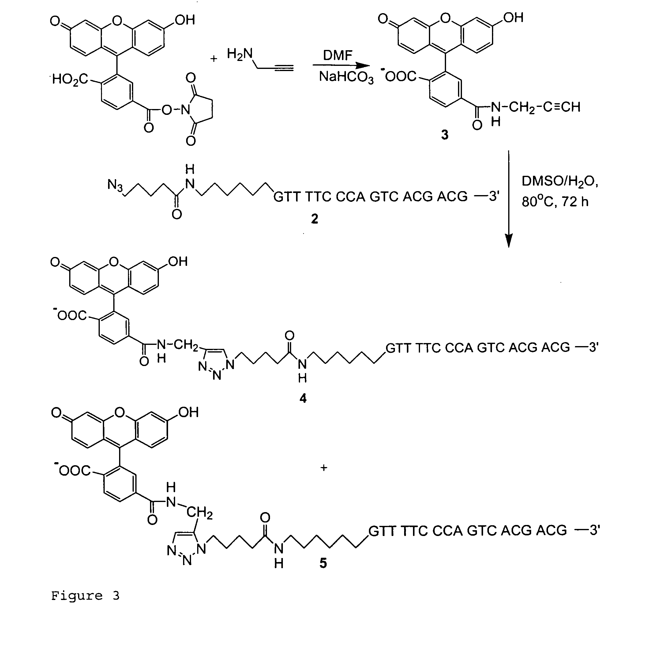 Biomolecular coupling methods using 1,3-dipolar cycloaddition chemistry