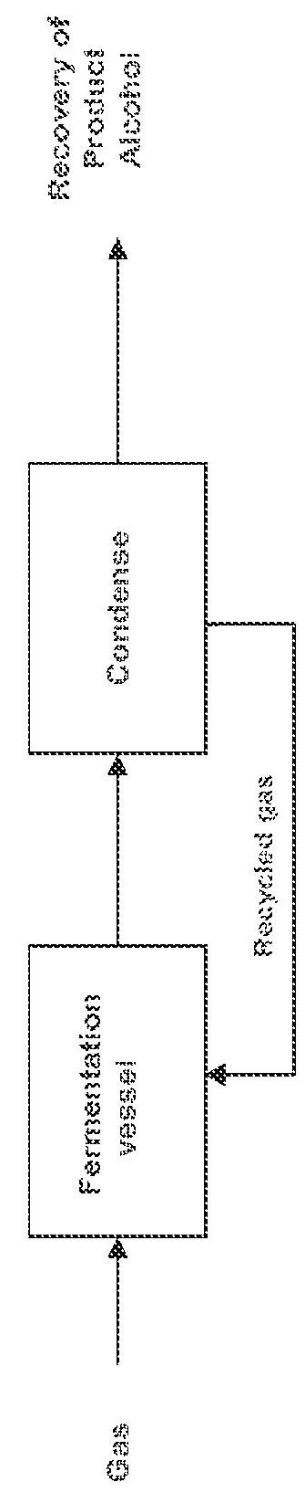 Process to remove product alcohols from fermentation broth