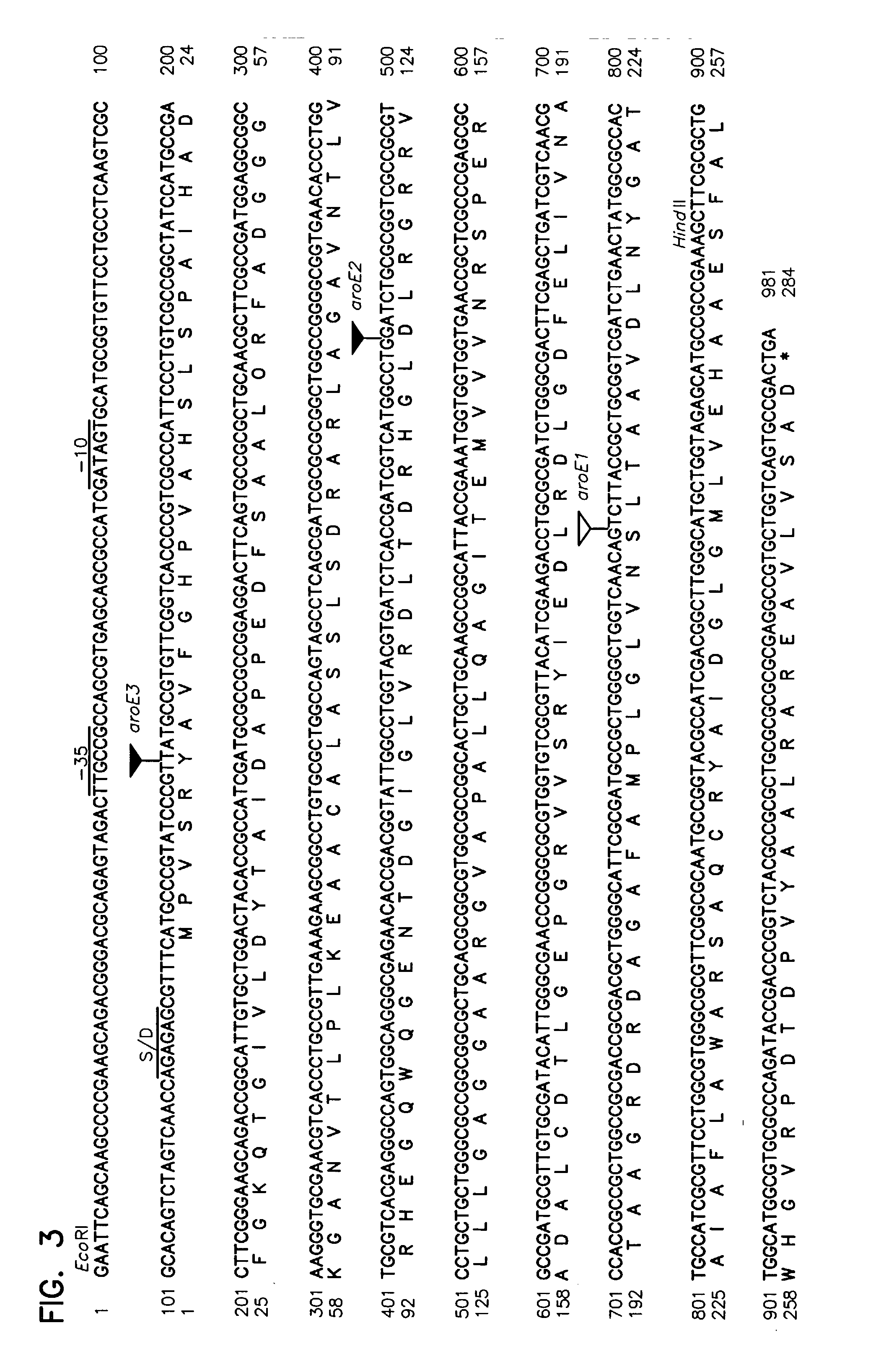 Bacterial mutant BX065 and a method thereof