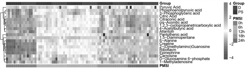 Method for deducing submerging time of corpses in water after early death based on metabonomics markers and application of method