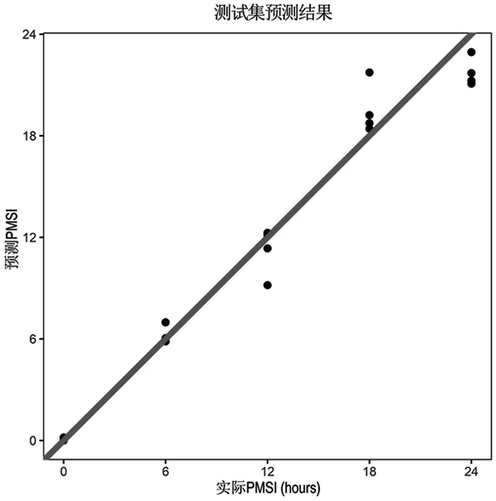 Method for deducing submerging time of corpses in water after early death based on metabonomics markers and application of method