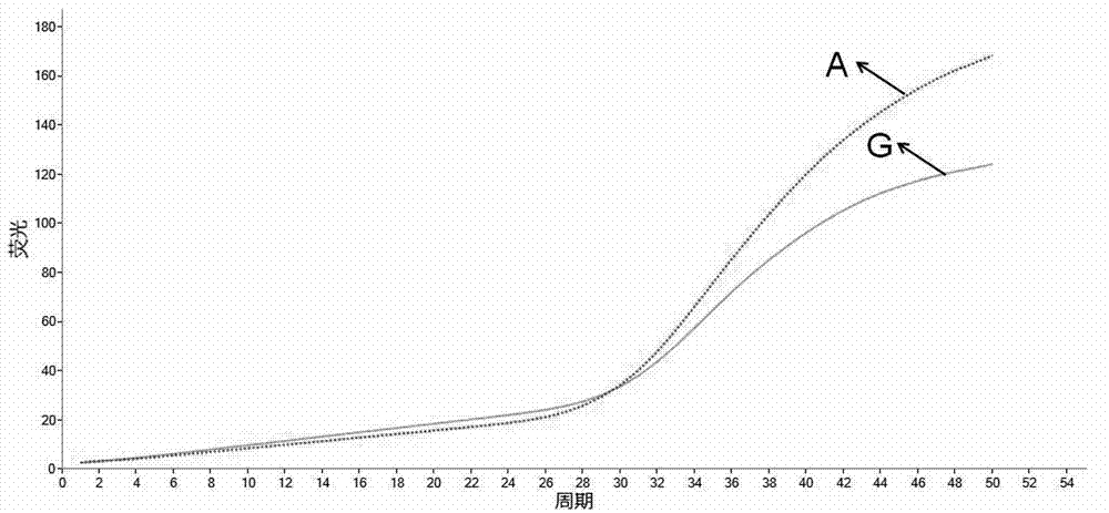 Quick detection kit for the CYP2C19*2 genetype and detection method thereof