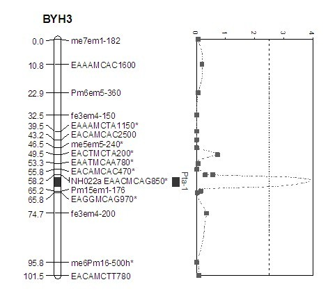 Molecular marker of Pyrus communis L. fruit titratable acid content