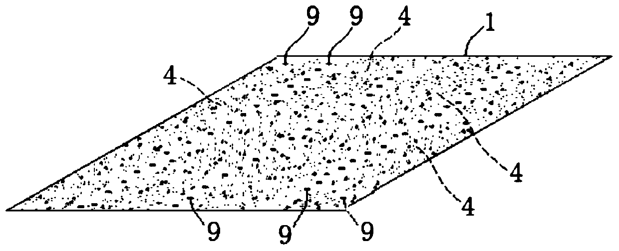 Water absorbing body care product and production technology thereof