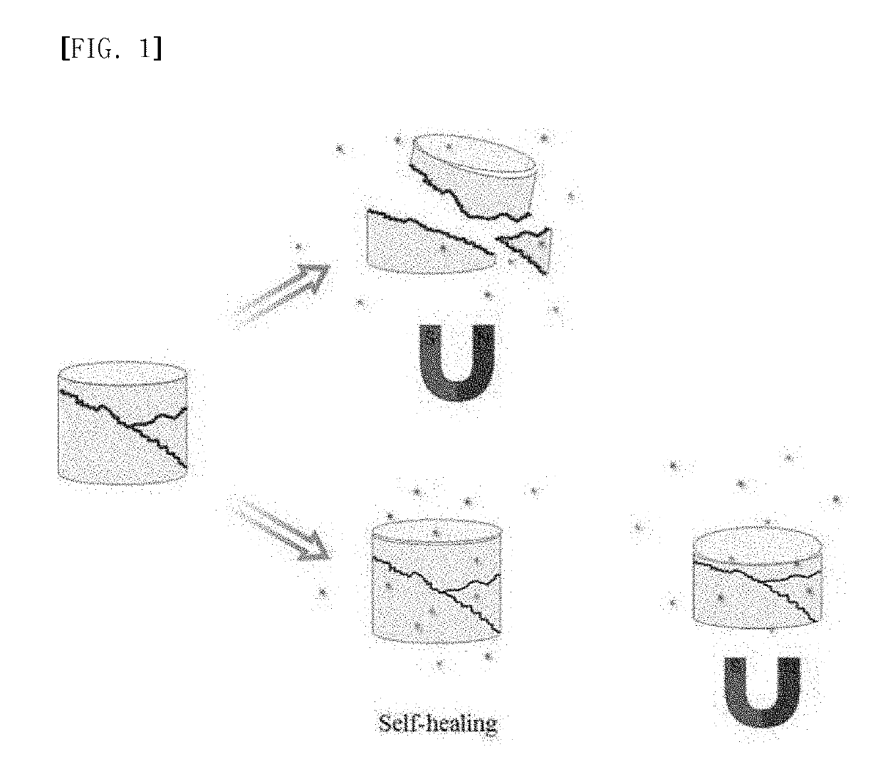 Self-healing hydrogel and use thereof