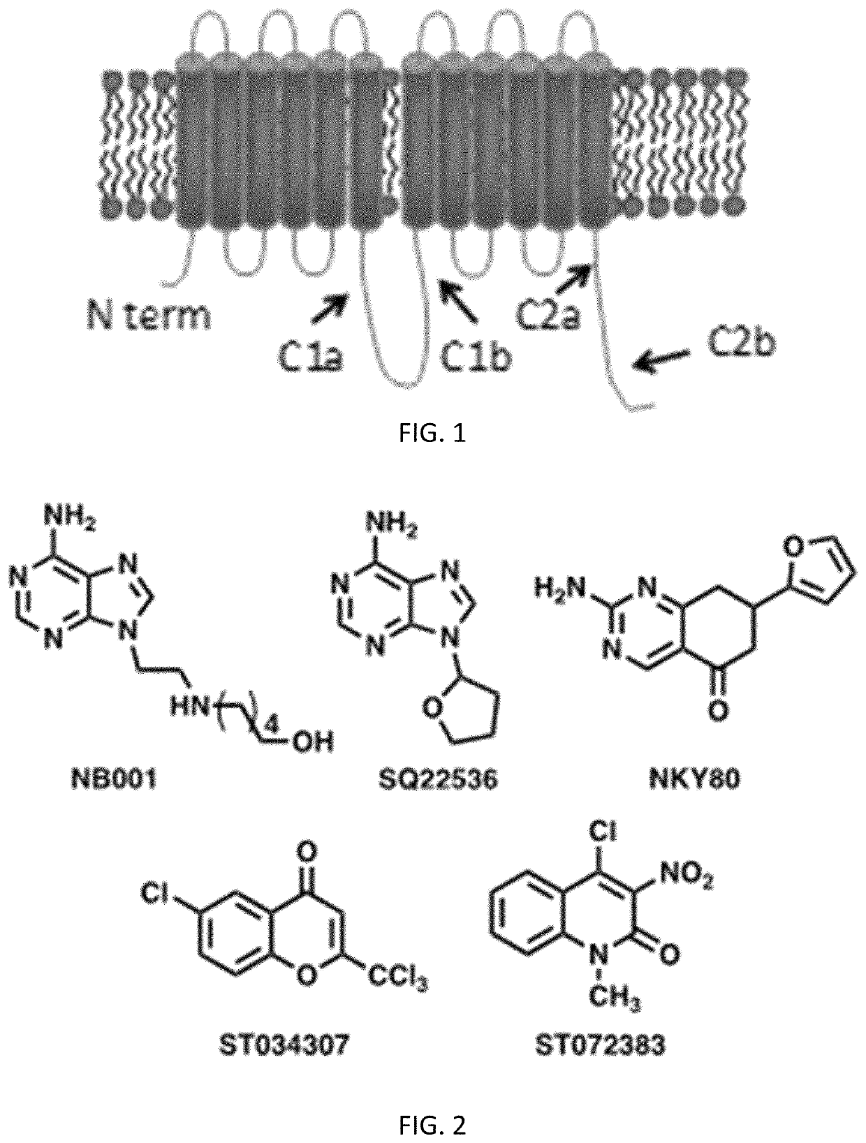Scaffold of adenylyl cyclase inhibitors for chronic pain and opioid dependence