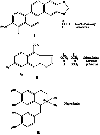 Zanthoxylum armatum total alkaloids extract, and preparation method and application thereof