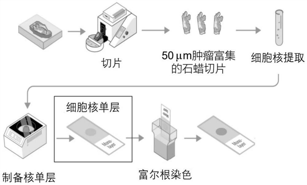 Paraffin-embedded tissue sample processing method and kit for tumor prognosis evaluation