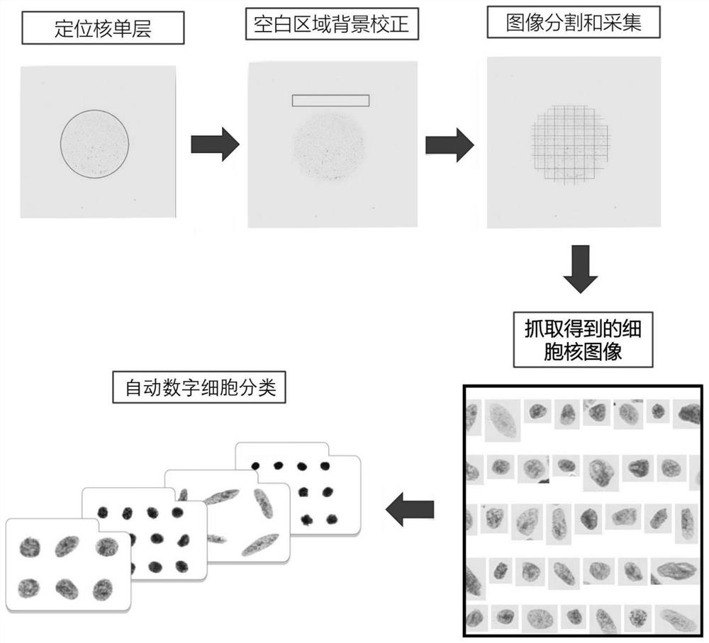 Paraffin-embedded tissue sample processing method and kit for tumor prognosis evaluation