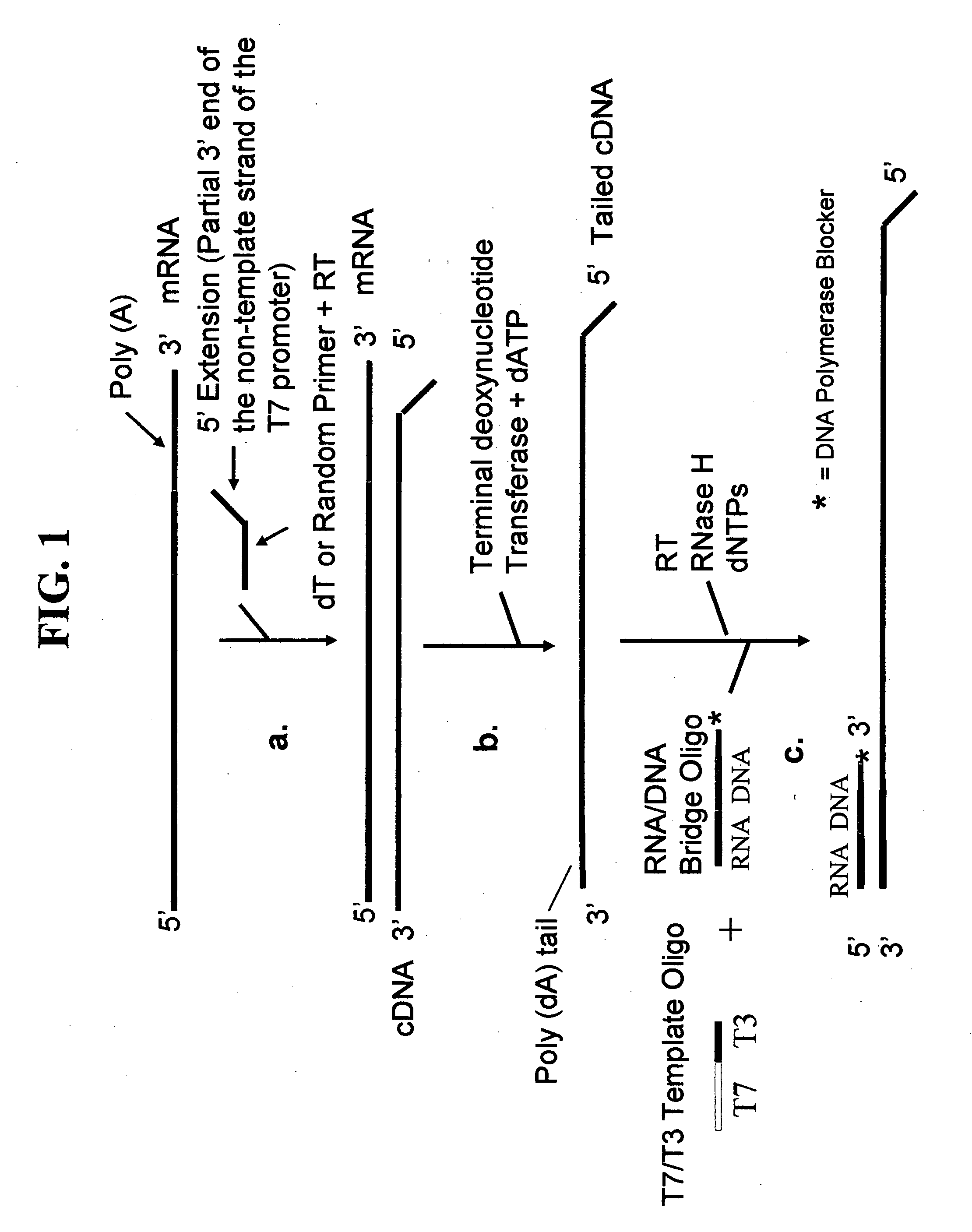 Methods and kits for nucleic acid amplification