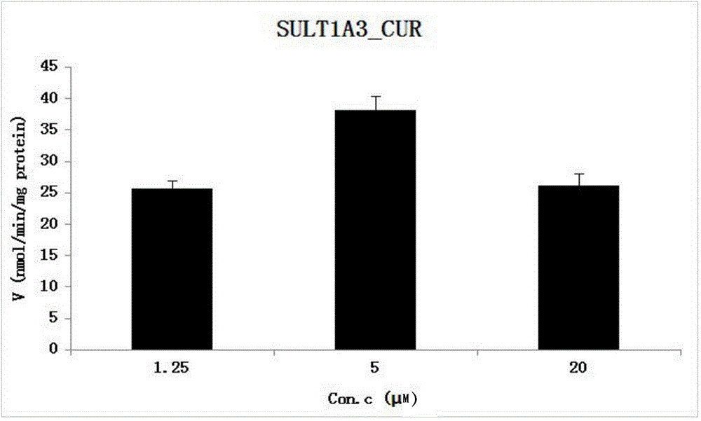 Method for constructing curcuminoid SULTs metabolism finger-print and application