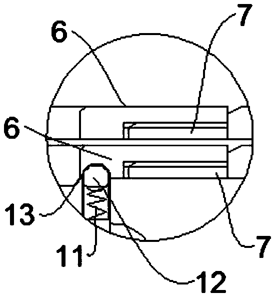 Solid particle sampling device
