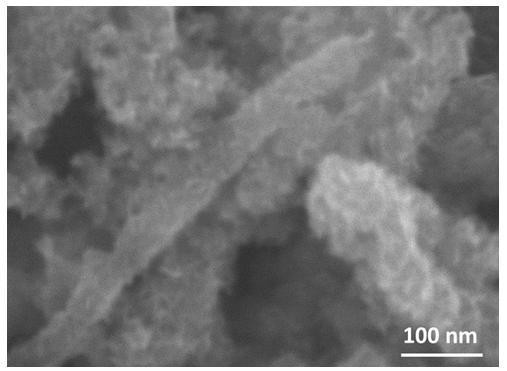 A nitrogen-doped molybdenum disulfide/c/carbon nanotube composite material