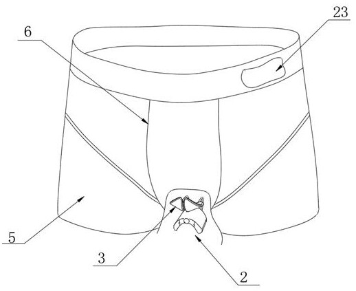 Male reproductive health management tool