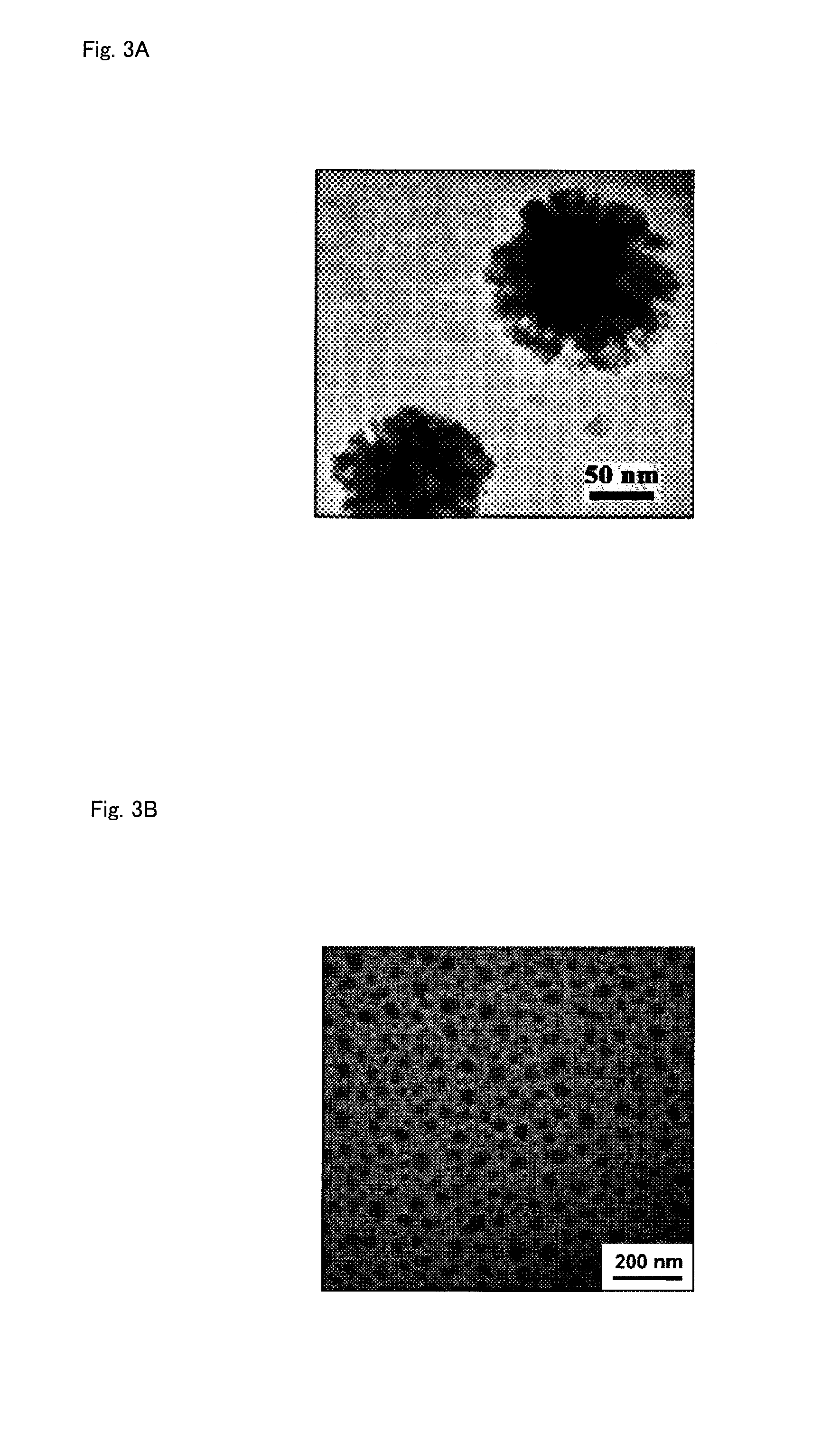 Polymerizable Monomer, Graft Copolymer, and Surface Modifier