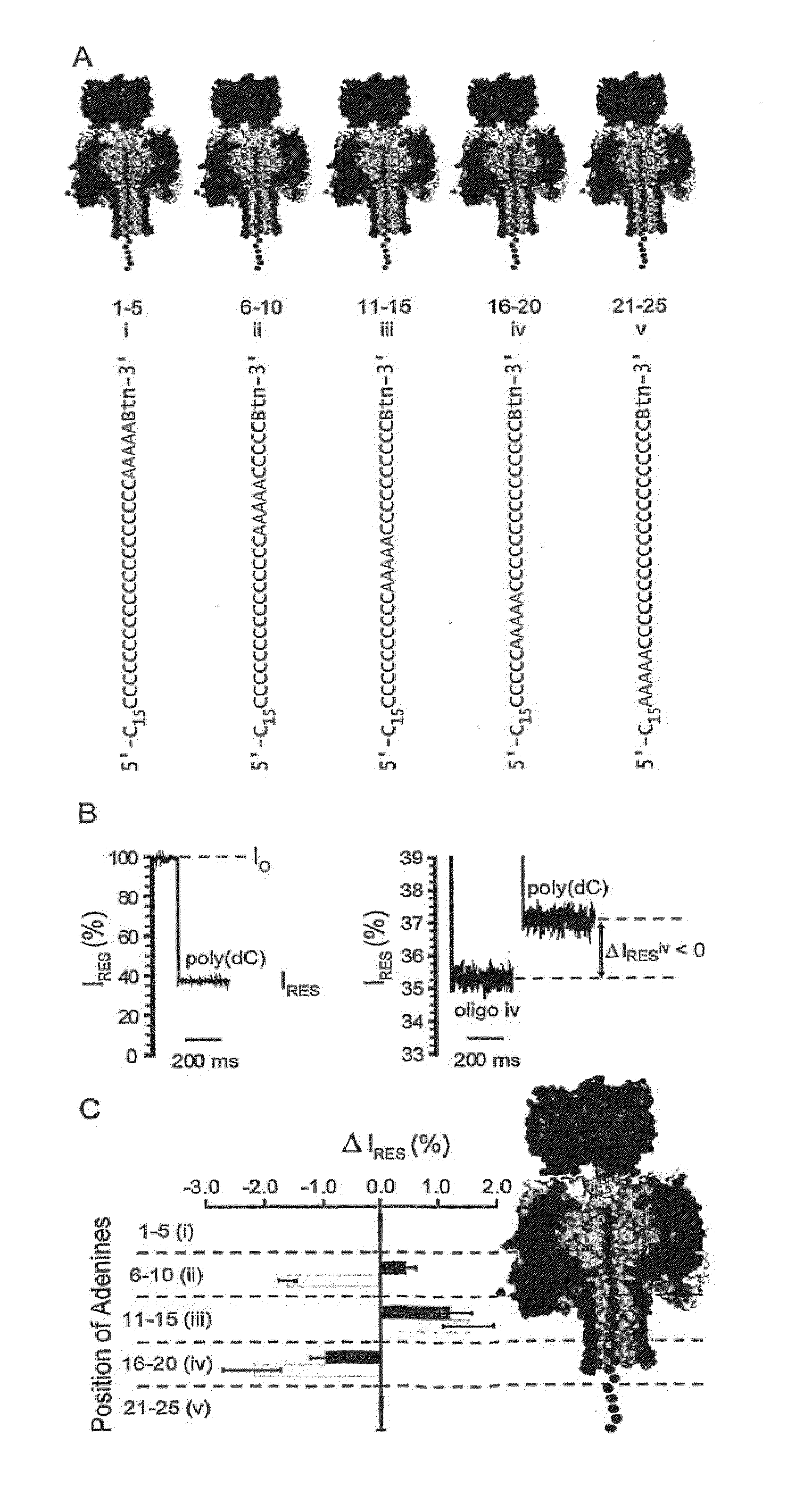 Method for sequencing a heteropolymeric target nucleic acid sequence