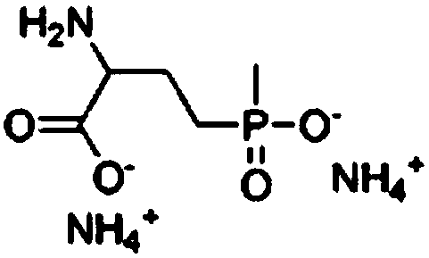 Weeding composition containing glufosinate-ammonium and cloransulam-methyl and application of weeding composition