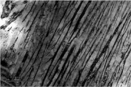 High-strength and high-toughness bridge cable zinc-coated steel wire and preparation method thereof