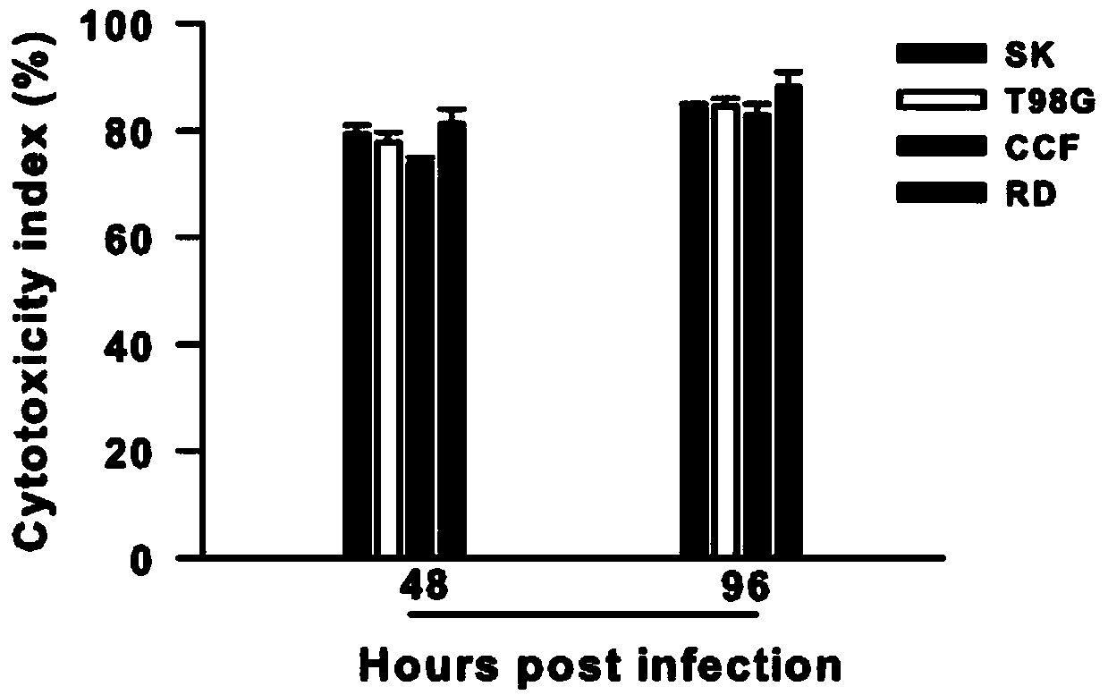 Application of enterovirus type-71 in preparing oncolytic medicine