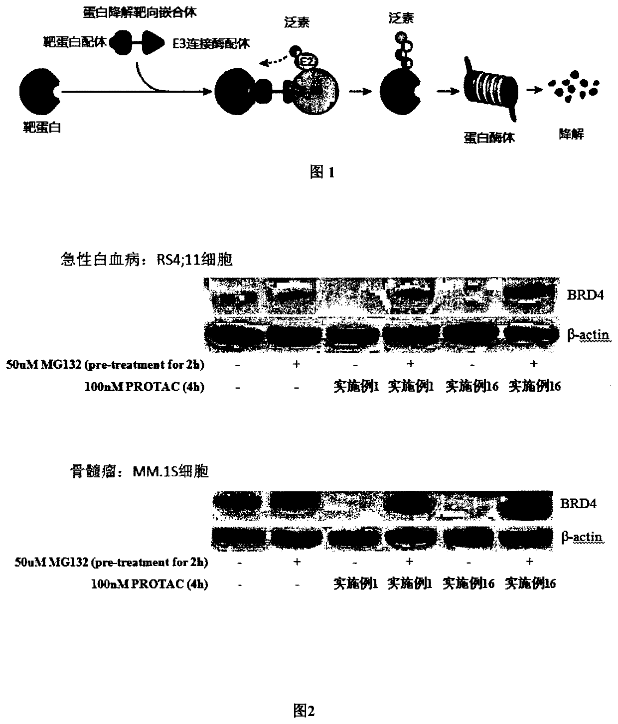 Targeted ubiquitination degradation brd4 protein compound, preparation method therefor and application thereof