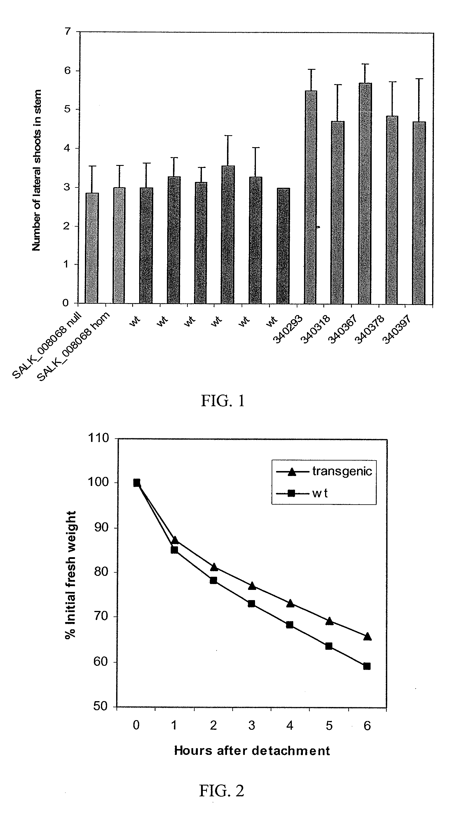 Plant snf1-related protein kinase gene