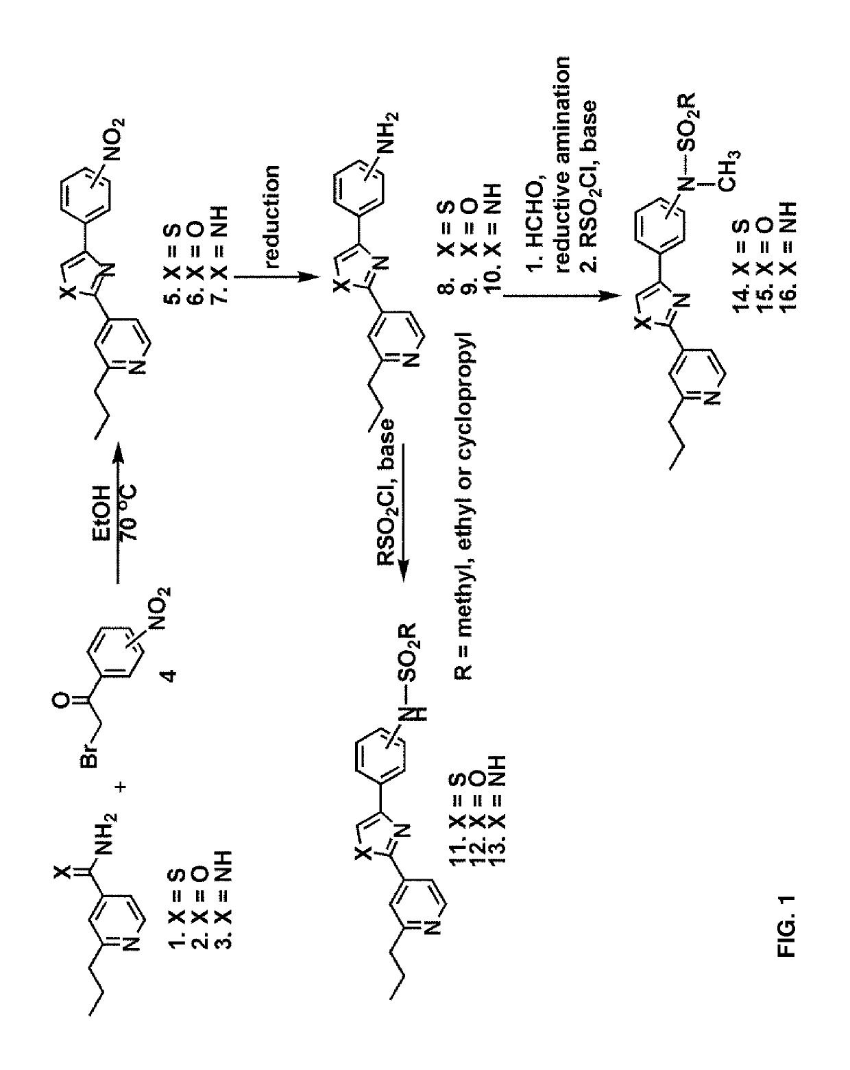 Compositions of fatostatin based heterocyclic compounds and uses thereof