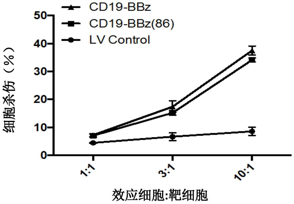 Improved anti-cd19 CAR-T cells