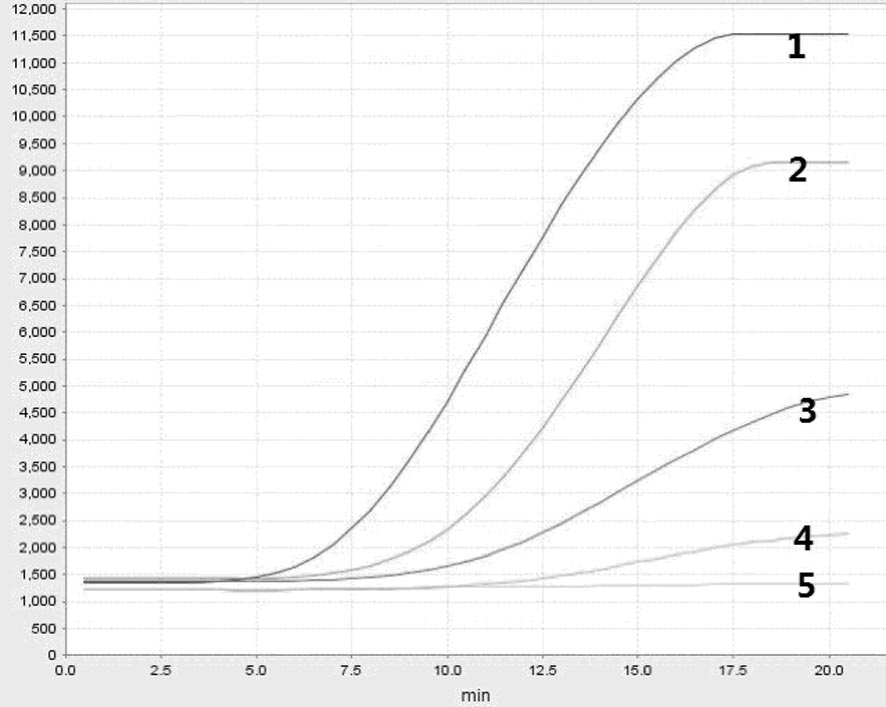 Specific primer pair, probe and kit for detecting novel coronavirus