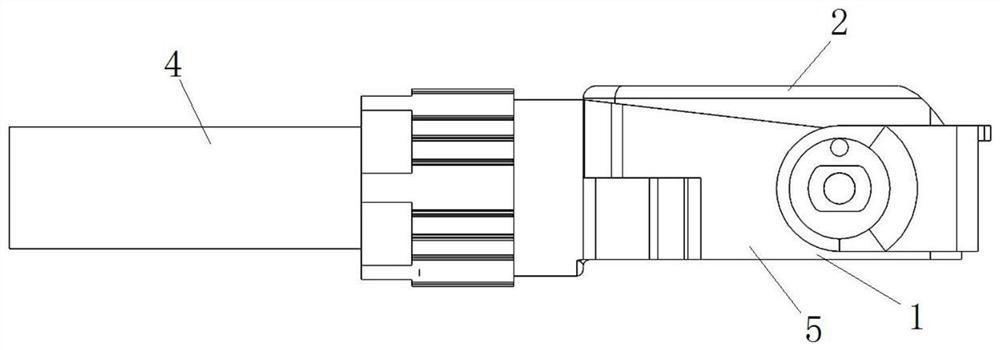 Plug and plug assembly