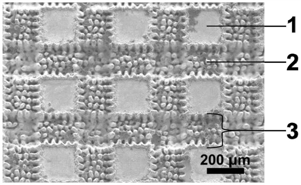 A kind of material surface micro-nano composite enhanced boiling structure and preparation method and application thereof