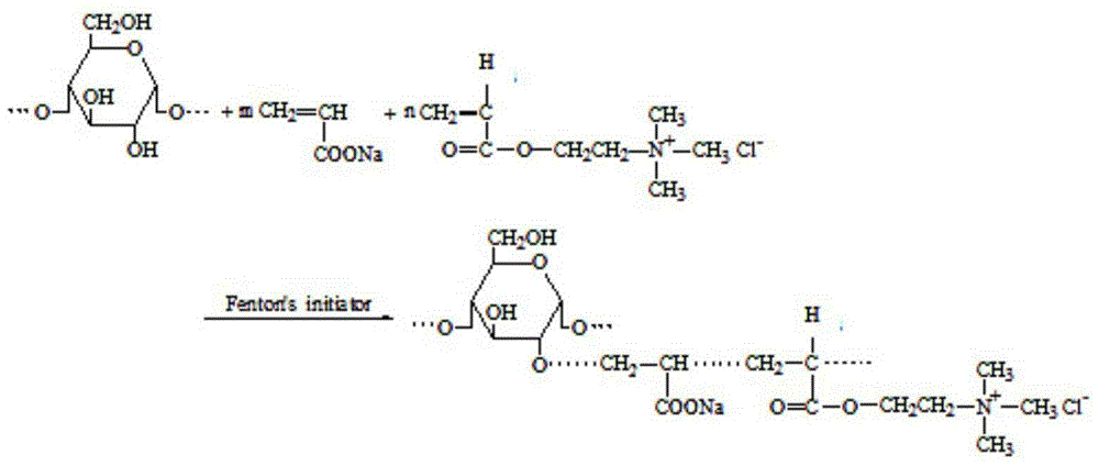 Preparation method of amphoteric starch size