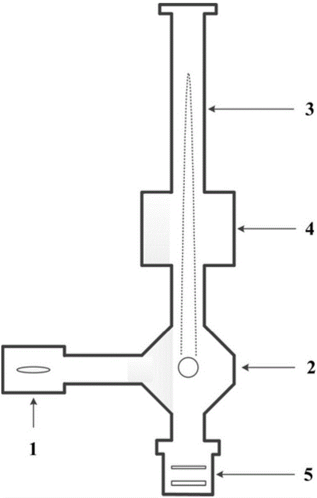 Vacuum device for atomic interference gravity measurement