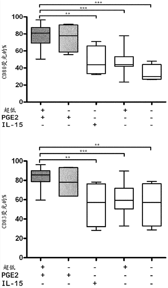 Method for the preparation of dendritic cell vaccines