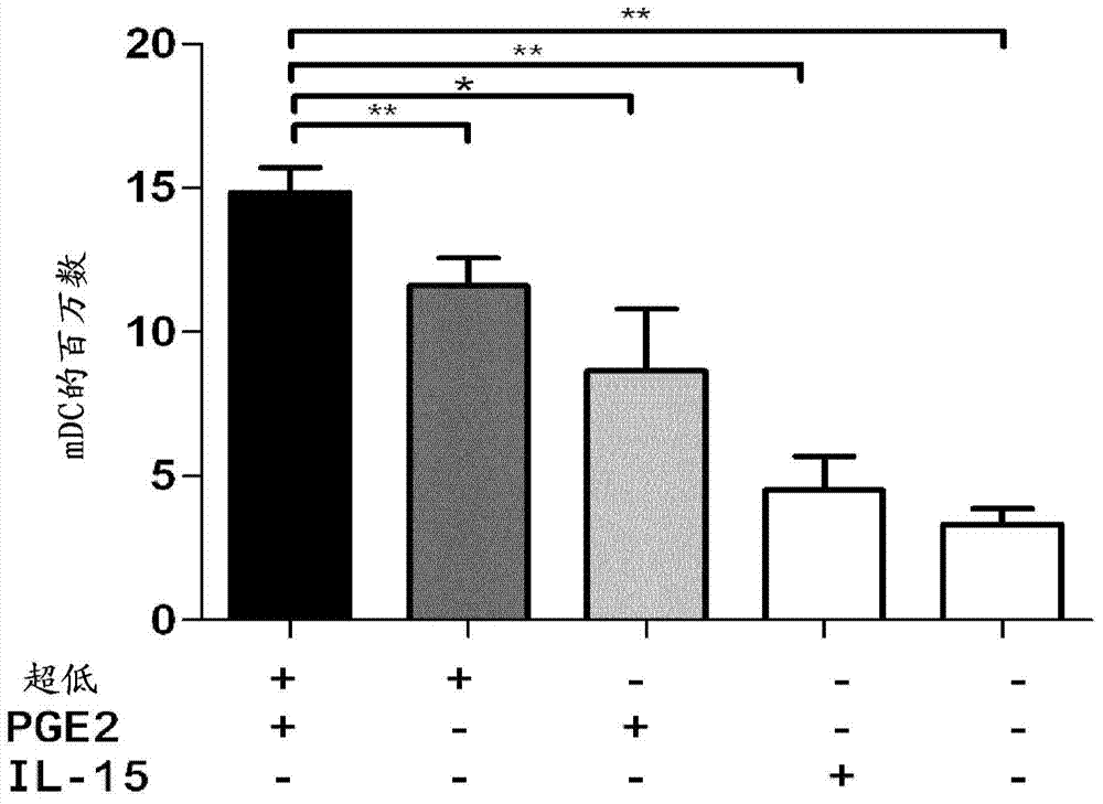 Method for the preparation of dendritic cell vaccines