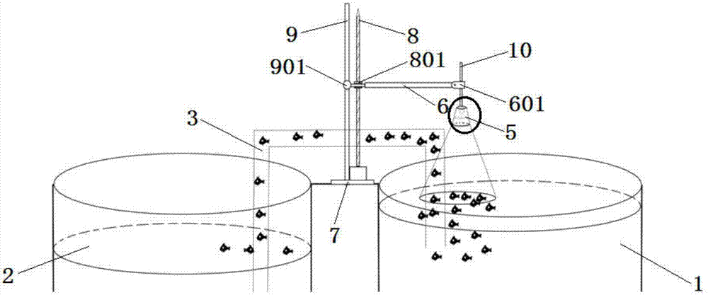 Device and method for inducing clustering of thamnaconus modestus juvenile fish by using low light and feeding and pond reversing