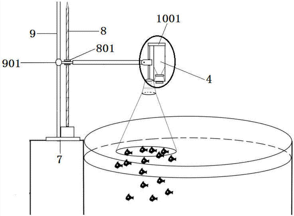 Device and method for inducing clustering of thamnaconus modestus juvenile fish by using low light and feeding and pond reversing